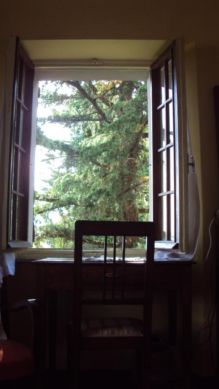 Albergo La Baita Corfino Cameră foto